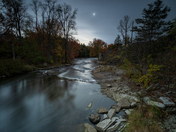 Fall in Forest Mills