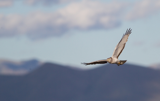 Bear Lake National Wildlife Refuge