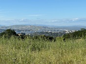 John Muir National Historic Site