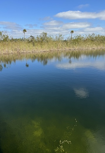 Everglades National Park