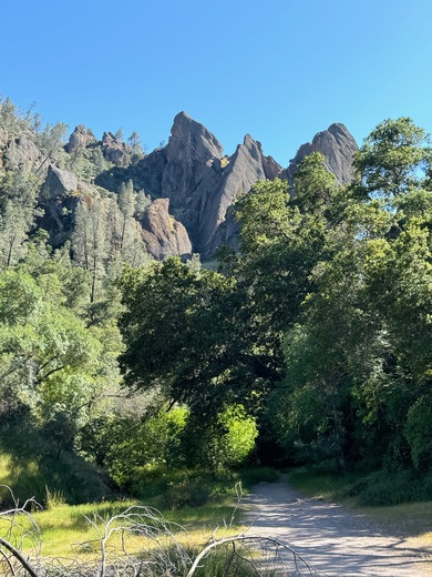 Pinnacles National Park