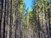 Grand Teton National Park