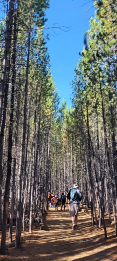 Grand Teton National Park
