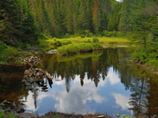 Summer Lake Reflections