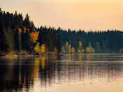 The Beauty of Change