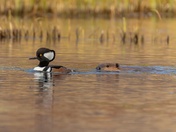 It’s Behind Me, Isn’t It??