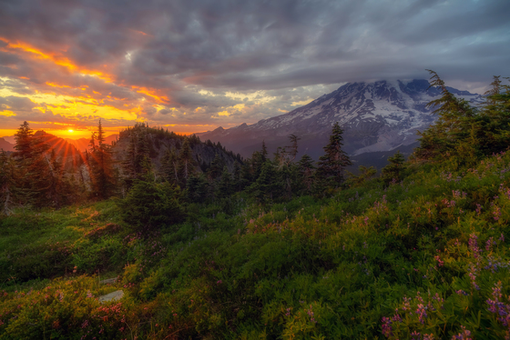 Mt. Rainier National Park