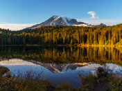 Mt. Rainier National Park
