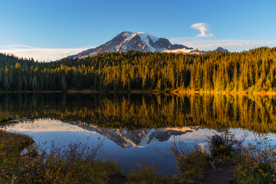 Mt. Rainier National Park