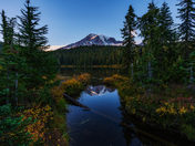 Mt. Rainier National Park