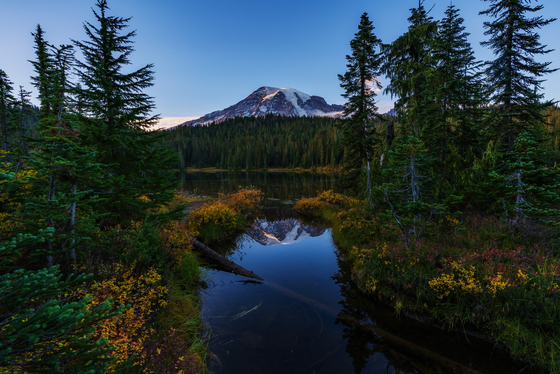 Mt. Rainier National Park