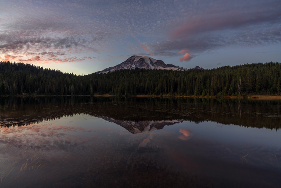 Mt. Rainier National Park