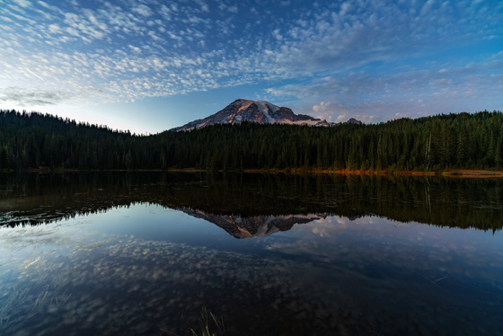 Mt. Rainier National Park