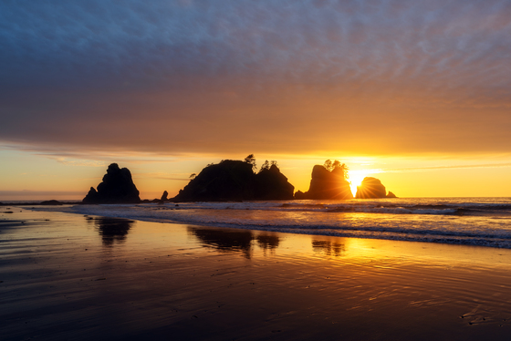 Olympic National Park