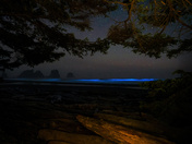 Olympic National Park