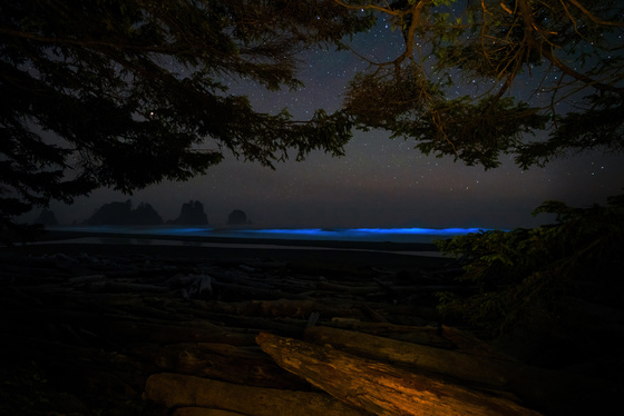 Olympic National Park