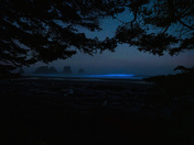 Olympic National Park