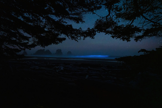 Olympic National Park
