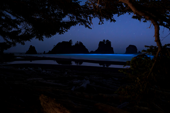 Olympic National Park