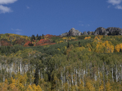Gunnison National Forest