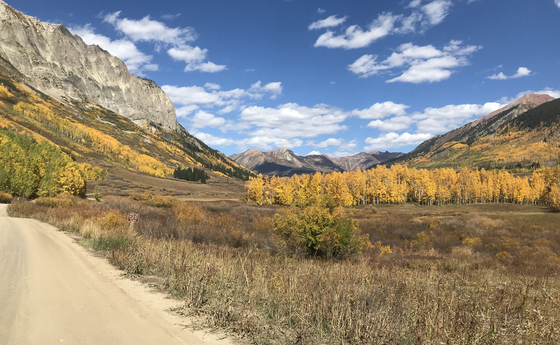 Gunnison National Forest