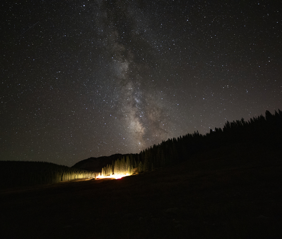 Gunnison National Forest