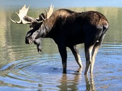 Rocky Mountain National Park
