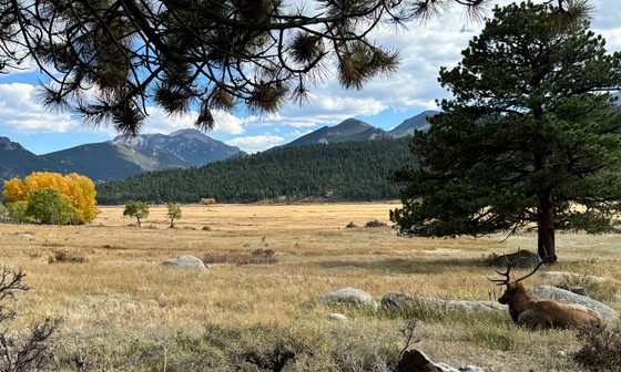 Rocky Mountaim National Park