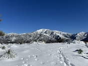 Angeles National Forest