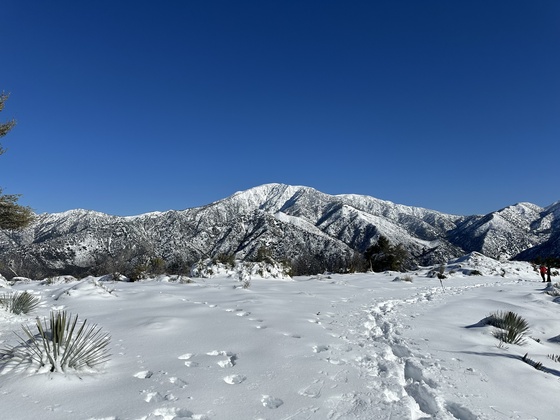 Angeles National Forest