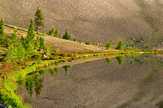 Deschutes National Forest