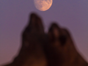 Sealions and the moon