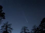 Coronado National Forest