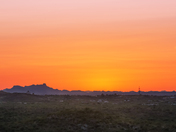 Saguaro National Park East