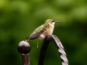 When Nature Calls...