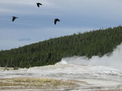 Yellowstone National Park