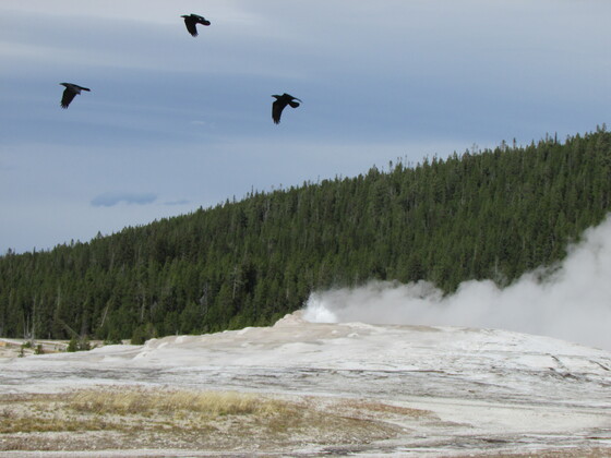 Yellowstone National Park