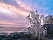 Look but don't touch