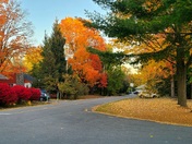 Autumn in my village
