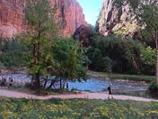 Zion National Park