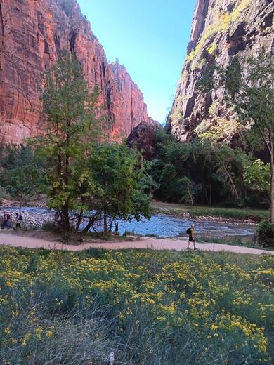 Zion National Park