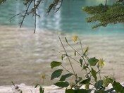 White River National Forest Hanging Lake 