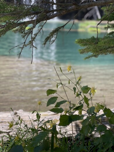 White River National Forest Hanging Lake 