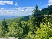 Pisgah National Forest