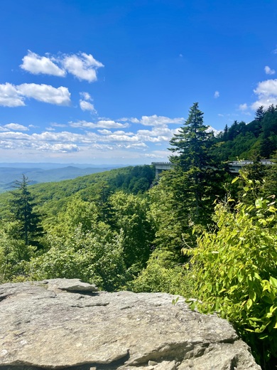 Pisgah National Forest