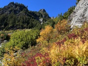 Mt-Baker-Snoqualmie National Forest