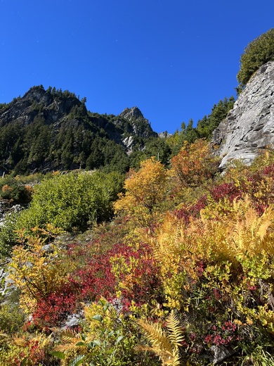 Mt-Baker-Snoqualmie National Forest