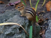 Cuteness!