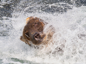 Katmai National Park and Preserve