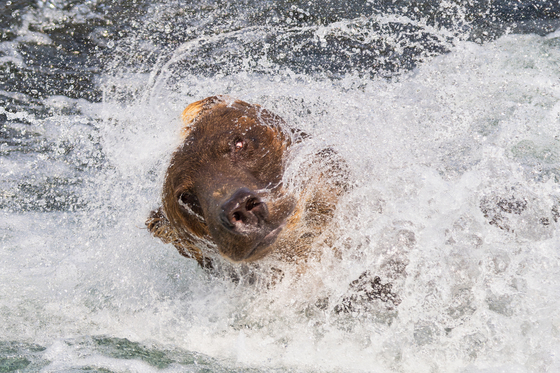 Katmai National Park and Preserve